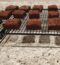 Brownies
